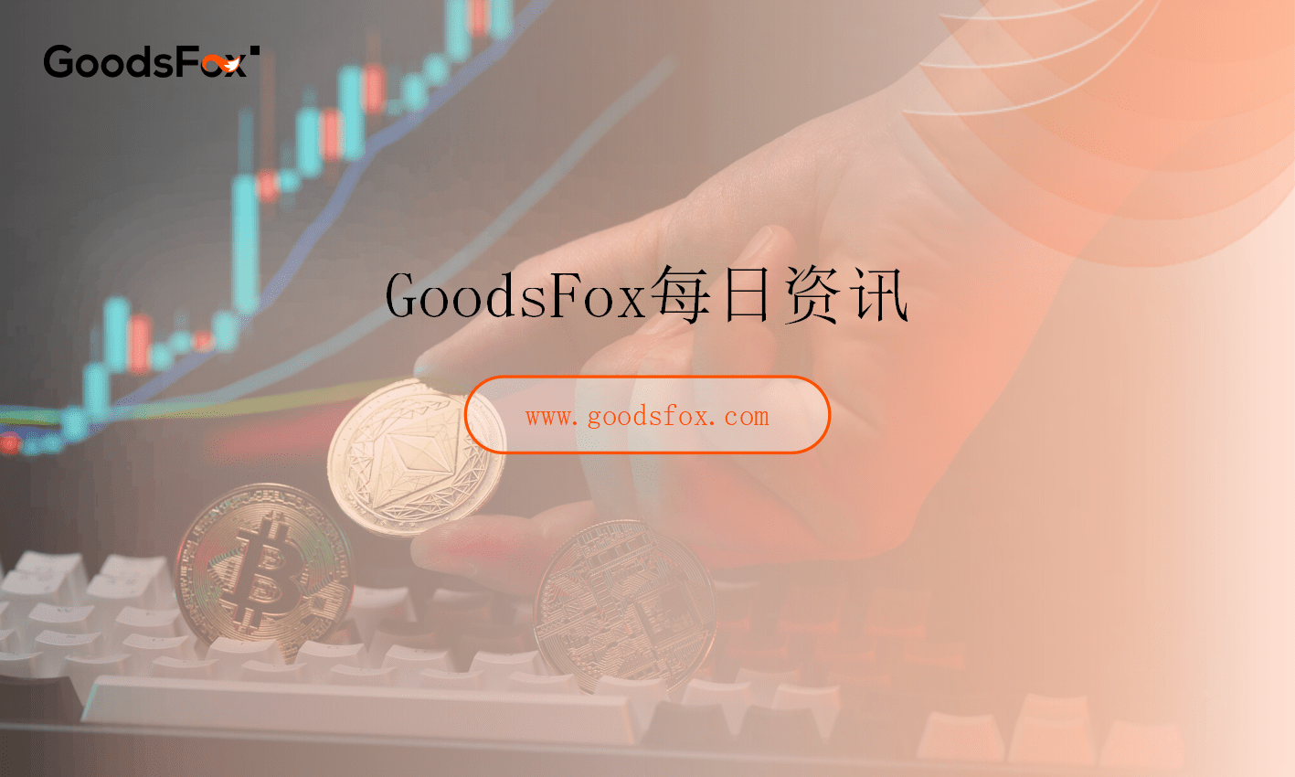 春节前海运市场运价普跌，SCFI 指数单周下滑4.4%